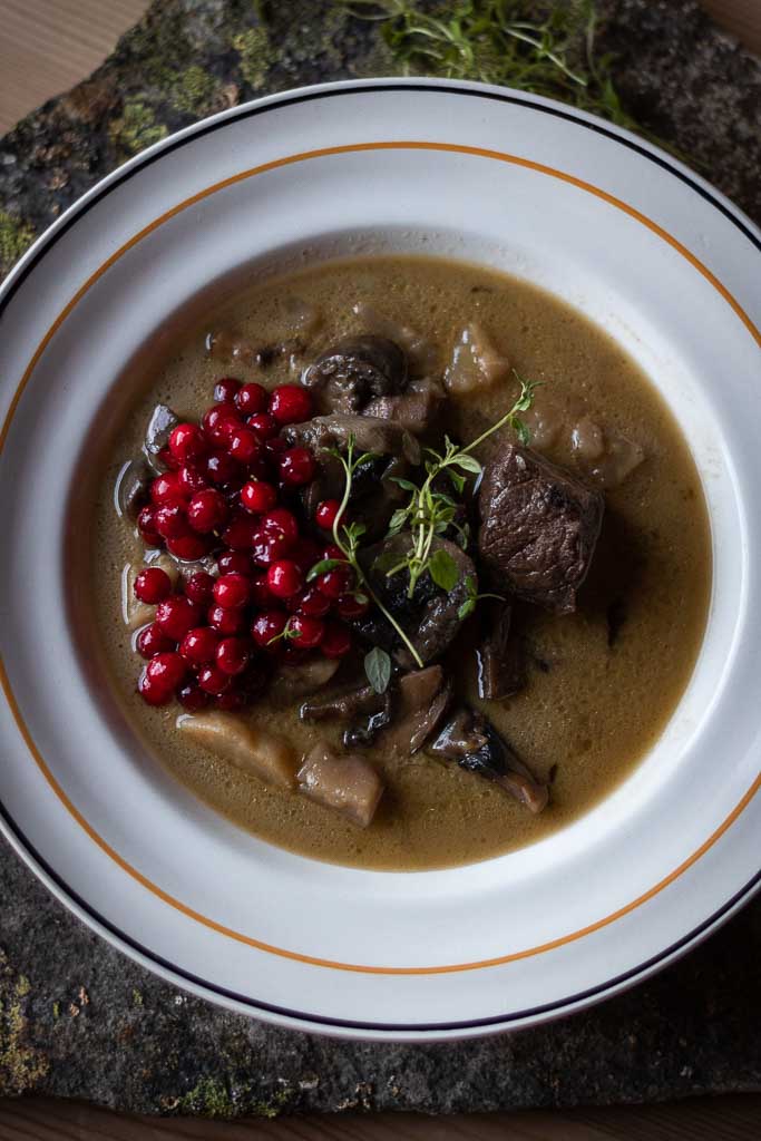 viltgryte i dyp tallerken med tyttebær, stående på en stein